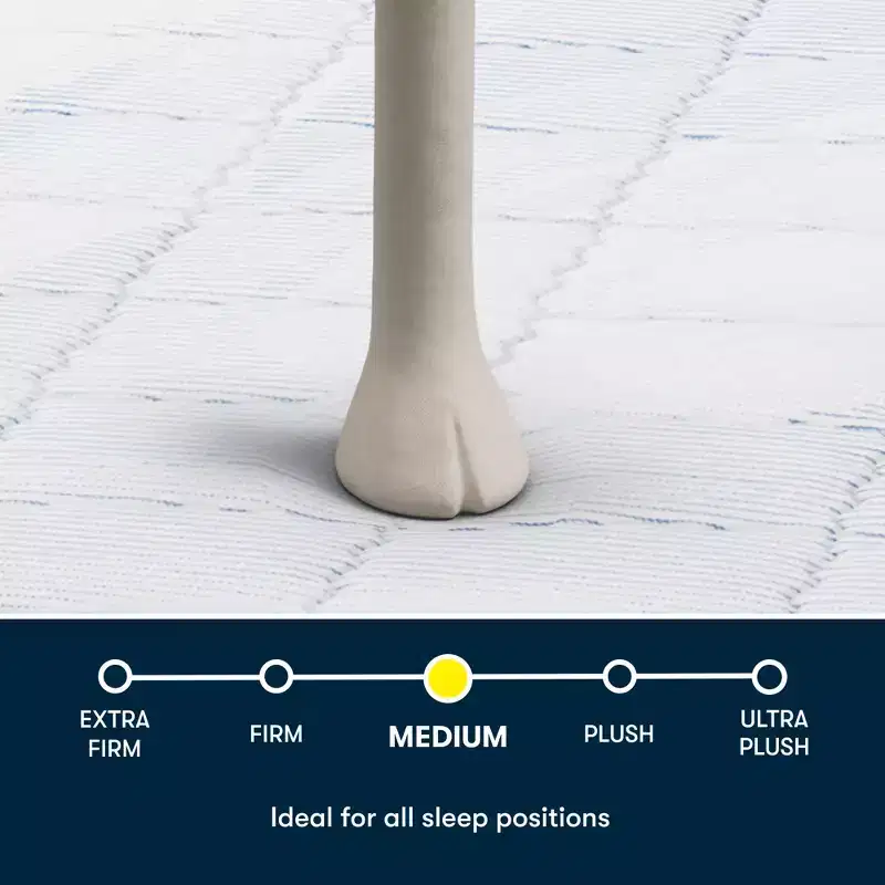 Serta Five Star Mattress - 10 Medium