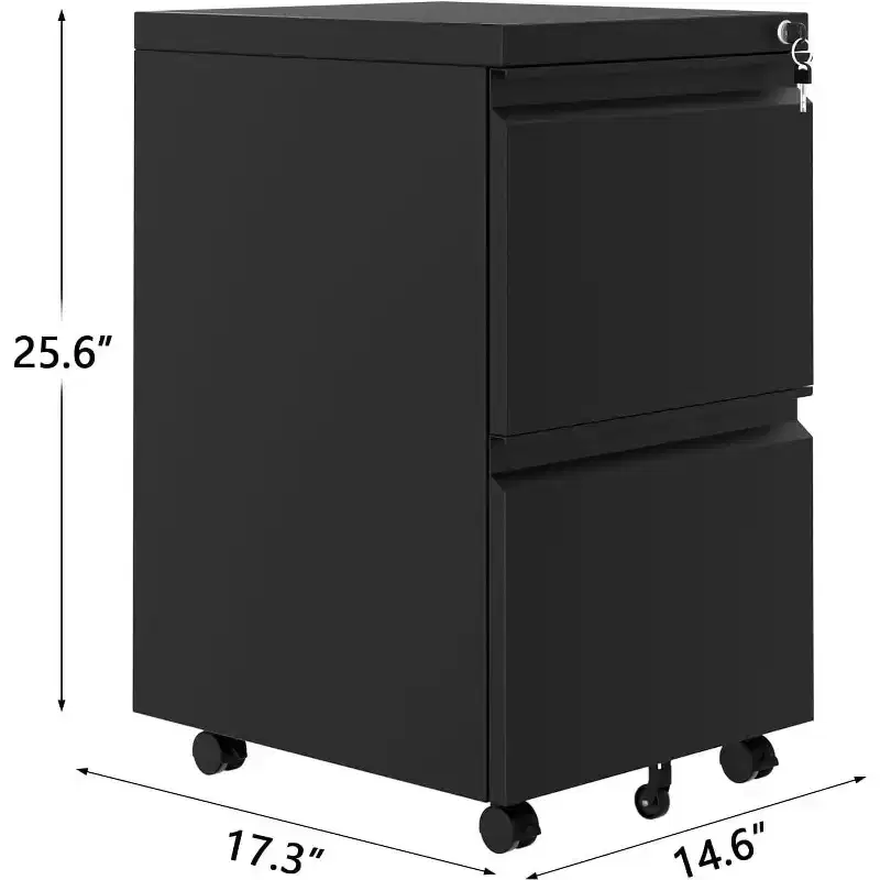 2-Drawer Vertical Storage Cabinet with Lock, Metal File Organizer for Home Office or Bathroom, Letter/Legal Size Files, Black