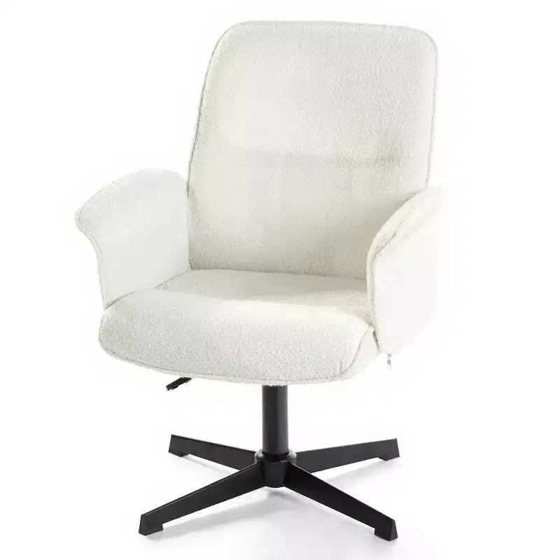 Homy Casa Adjustable Swivel Task Chair with Padded Arms for Small Home Office & Vanity