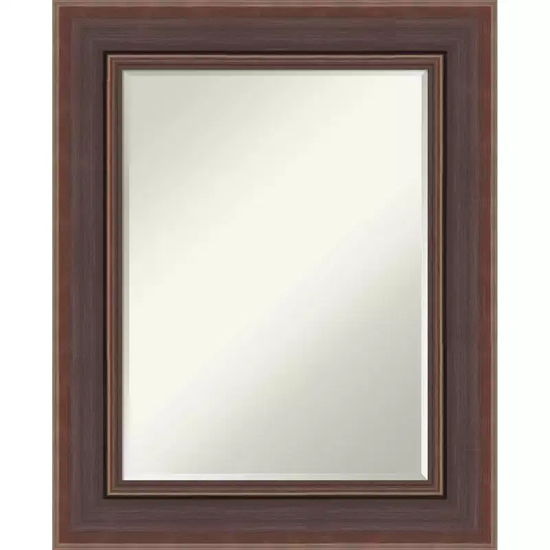 Moab Brown Bronze Petite Bevel Bathroom Wall Mirror 31.5 x 25.5 in.